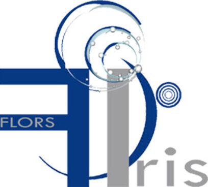 Flors Iris