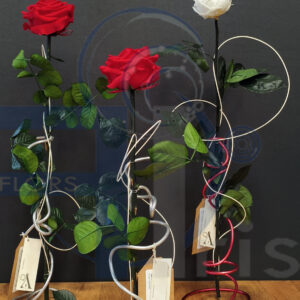 Esculturas Florales ETERNALS: La Belleza Hecha Arte y Diseño Único