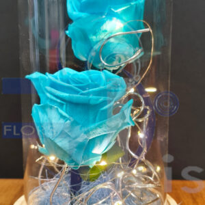 CP Cupula 12*22 dos rosas presrvadas azul con luz