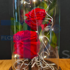 CP Cupula 12*25 dos rosas rojas con luz